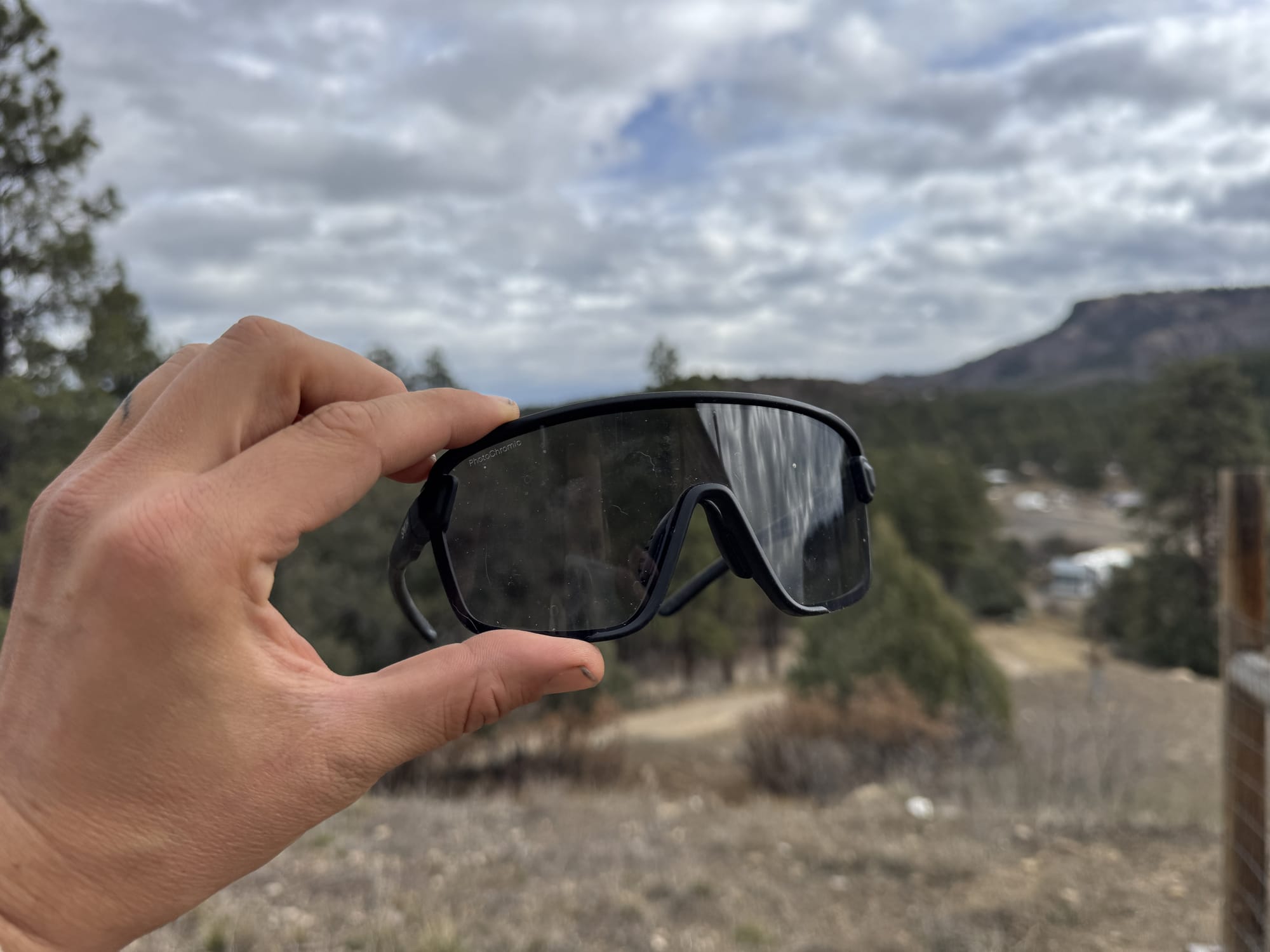 smith bobcat photochromatic sunglasses 